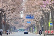 黔东共建“花园城市” 北京这场议政会“百花齐放”